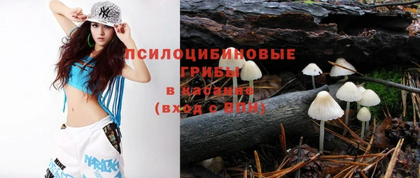 мет Арсеньев