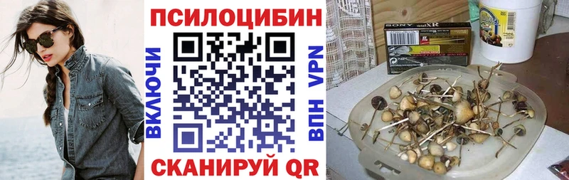 сколько стоит  Тавда  Псилоцибиновые грибы мухоморы 
