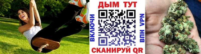 Каннабис гибрид  Тавда 